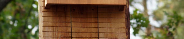 Fledermauskästen aus Holz