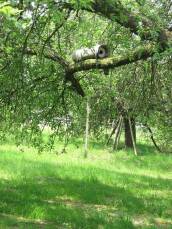 Steinkauzröhre Nr. 20 von Schwegler