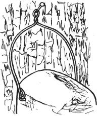 Nisthöhle 1B Ø oval, 29x55 mm grün