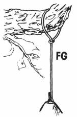 Nisthöhle 2M FG Ø oval, 29x55 mm weiß