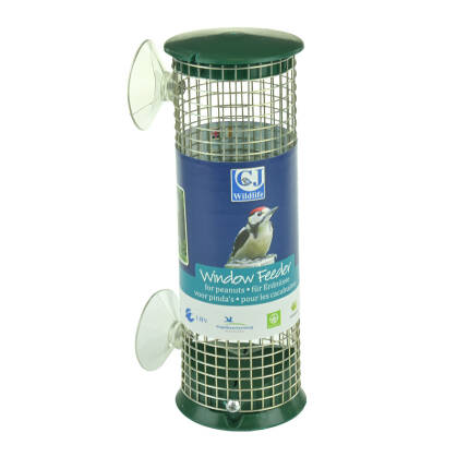 Fenster Erdnusssäule Discovery