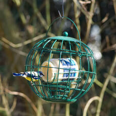 Erdnussbutterhalterung für Gartenvögel inkl. Futterglas