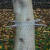 Katzenabwehrgürtel für Bäume bis 70 cm Umfang