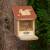 Eichhörnchen-Futterhaus - mit Klappdach und Sichtfenster