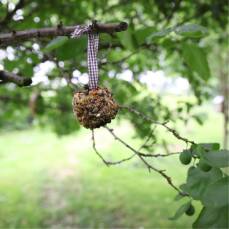 Vogelfutterzapfen zum Selbermachen
