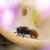 Wildbienenhaus Blume CeraNatur