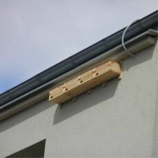 Einzelner Mauerseglerkasten zum Einbau