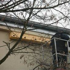 Einzelner Mauerseglerkasten zum Einbau