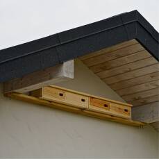 Mauersegler-Nistkasten Doppelkasten aus Vollholz