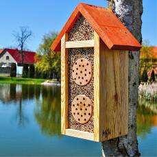 Bienenparadies mit Holzstämmen und Schilf klein