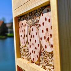 Gemischtes Insektenhotel mit Ton, Schilf und Holzstämmen