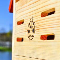 Gemischtes Insektenhotel mit Ton, Schilf und Holzstämmen