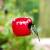 Futterhaus in Form eines Apfels rot