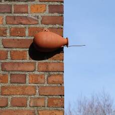 Vogeltopf - Flasche