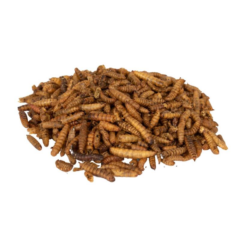 Kalziumwürmer 1kg - Wildvogelfutter
