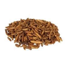 Kalziumwürmer 1kg - Wildvogelfutter