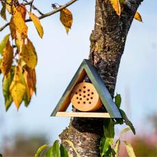 Insektenhotel Jarvis S - Wildbienenhaus aus FSC-Holz