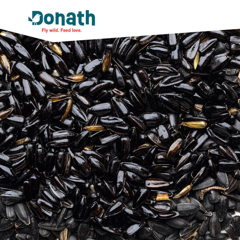 Donath Sonnenblumenkerne schwarz