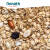Donath Vogelfutter Energie Mix