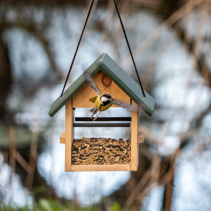 Futterhaus Breda zur Aufhängung