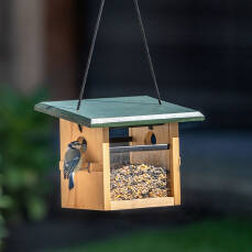 Futterhaus Eindhoven zur Aufhängung