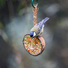 Halbe Kokosnuss in bunt 250g