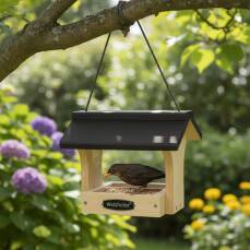 Vogelfutterhaus "Isabell"