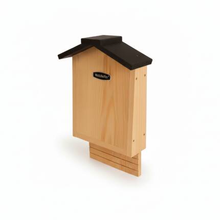 Fledermaus-Flachkasten "Lexi"