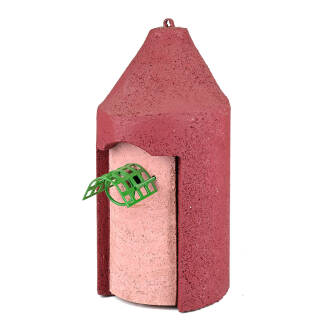 rot